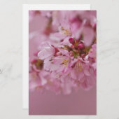 Papeterie Sakura Cherry Blossoms rose pâle Réflexions (Devant / Derrière)