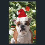 Papeterie Santa Hat Bulldog Christmas Tree Snowman boîte cad<br><div class="desc">Mignonne photo Bulldog avec boîte cadeau de Noël Tree Snowman en arrière - plan. Un cadeau parfait pour Noël !</div>