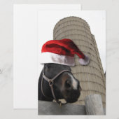 Papeterie Santa Hat Horsey (Devant / Derrière)