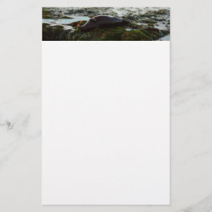 Papeterie Sceau du port de Sunset Lit II à San Diego