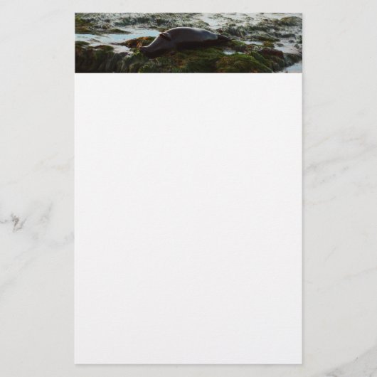 Papeterie Sceau du port de Sunset Lit II à San Diego (Devant)