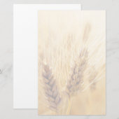 Papeterie Secteur du blé (Devant / Derrière)