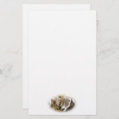 PAPETERIE SHEEP (Devant / Derrière)