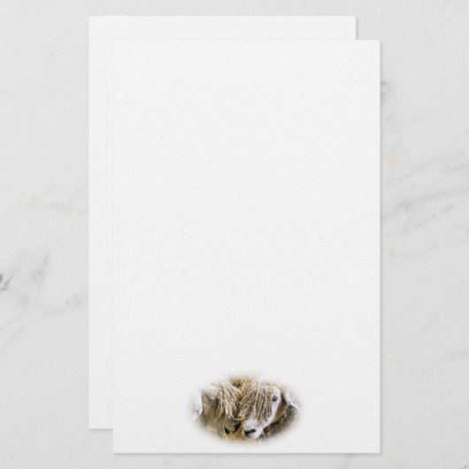 PAPETERIE SHEEP (Devant / Derrière)