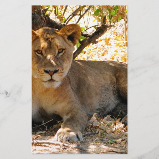 Papeterie Siesta Time (Devant)