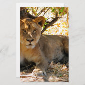 Papeterie Siesta Time (Devant / Derrière)