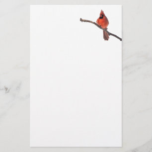 Papeterie Silent se demande Cardinal stationnaire