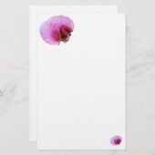 Papeterie simple de Doux-pois (Devant / Derrière)