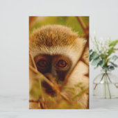 Papeterie Singe effronté. (Debout devant)