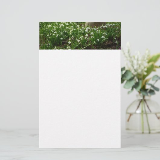 Papeterie Snowdrops (Debout devant)