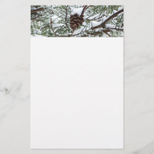 Papeterie Snowy Pine Cône II hiver Photographie de la nature