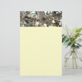 Papeterie Soirée Fleurs de cerisiers II Printemps coucher de (Debout devant)