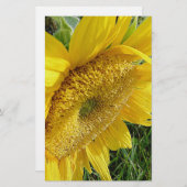 Papeterie Soleil brillant (Devant / Derrière)