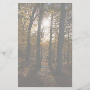 Papeterie Soleil forestier