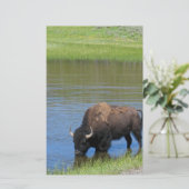 Papeterie Souvenir de Buffalo de Yellowstone (Debout devant)