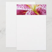 Papeterie Stargazer Lily brillant Magenta Floral (Devant / Derrière)