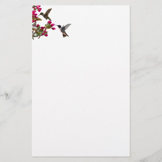 Papeterie Stationery hummingbirds (Devant)