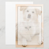 Papeterie Studio tiré du chat et du chien (Devant / Derrière)