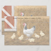 Papeterie Sussex Chicken Mama Hen et Chicks (Devant / Derrière)