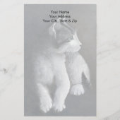 Papeterie Tabby Kitten (Devant)