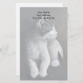 Papeterie Tabby Kitten (Devant / Derrière)