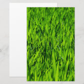 Papeterie Tall Blades of Grass (Devant / Derrière)