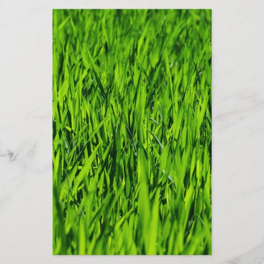 Papeterie Tall Blades of Grass (Devant)