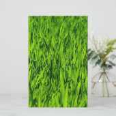 Papeterie Tall Blades of Grass (Debout devant)