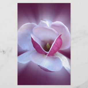 Papeterie teintes magnolia roses