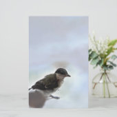 Papeterie Tidi my Bird le Parus Major (Debout devant)