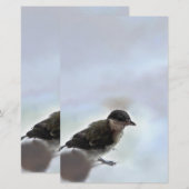 Papeterie Tidi my Bird le Parus Major (Devant / Derrière)