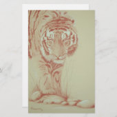 Papeterie Tigar (Devant / Derrière)