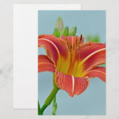 Papeterie Tiger Daylily (Devant / Derrière)