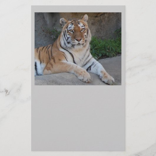 Papeterie Tiger Love (Devant)