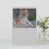 Papeterie Tiger Love (Debout devant)