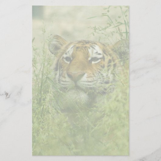 Papeterie tigre stationnaire (Devant)