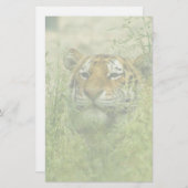 Papeterie tigre stationnaire (Devant / Derrière)