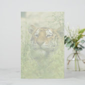 Papeterie tigre stationnaire (Debout devant)