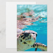 Papeterie Tortue (Devant / Derrière)