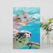 Papeterie Tortue (Debout devant)