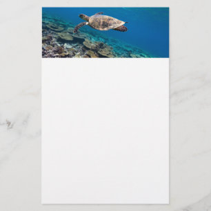 Papeterie Tortue de mer