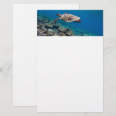 Papeterie Tortue de mer (Devant / Derrière)