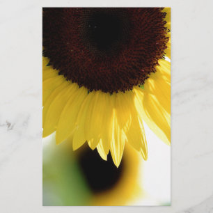 Papeterie Tournesol