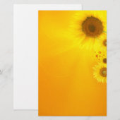 Papeterie Tournesol (Devant / Derrière)