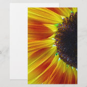 Papeterie Tournesol (Devant / Derrière)