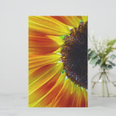 Papeterie Tournesol (Debout devant)