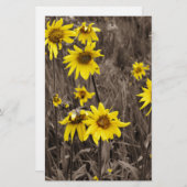 Papeterie Tournesol dans la Montagne Rocheuse (Devant / Derrière)