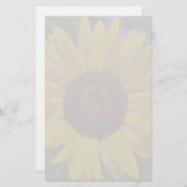 Papeterie Tournesol stationnaire (Devant / Derrière)