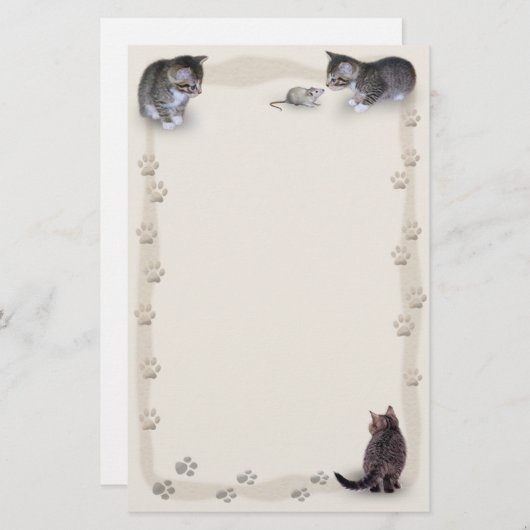 Papeterie Traces tabby (Devant / Derrière)