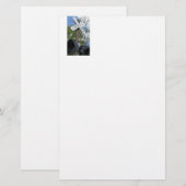 Papeterie Traversée ferroviaire (Devant / Derrière)